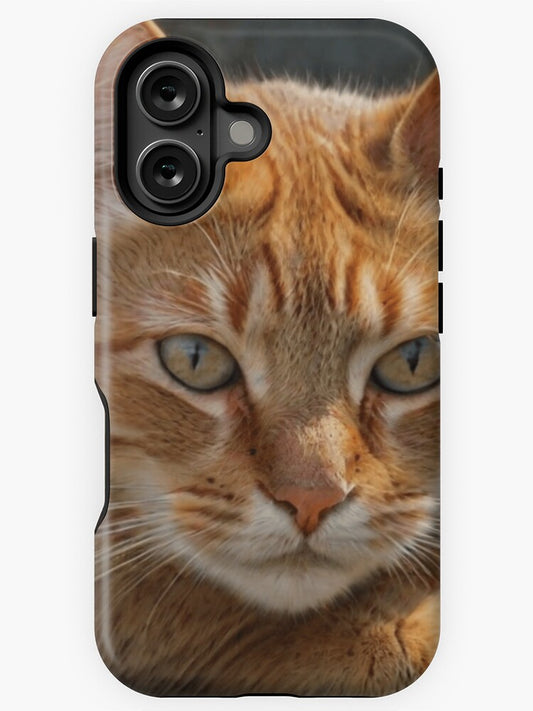 "Golden Gaze: Majestic Ginger Cat Portrait" iPhone Case
