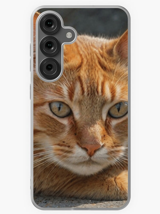 "Golden Gaze: Majestic Ginger Cat Portrait" Samsung Galaxy Phone Case